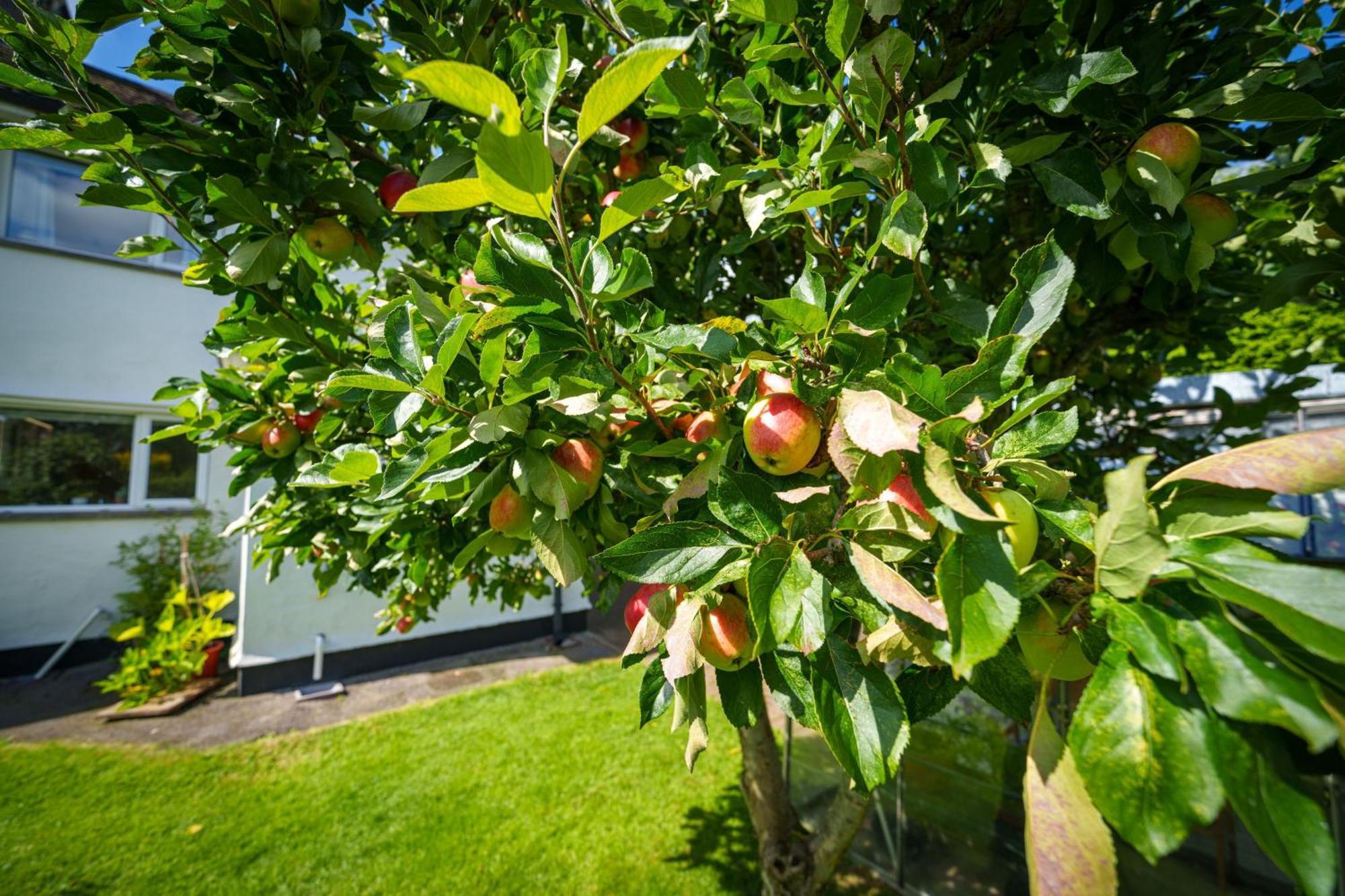 Apple Byrd - Short Stroll Into Kendal Town Centre Villa Exterior foto